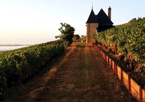 Ponsot Grandi Bottiglie